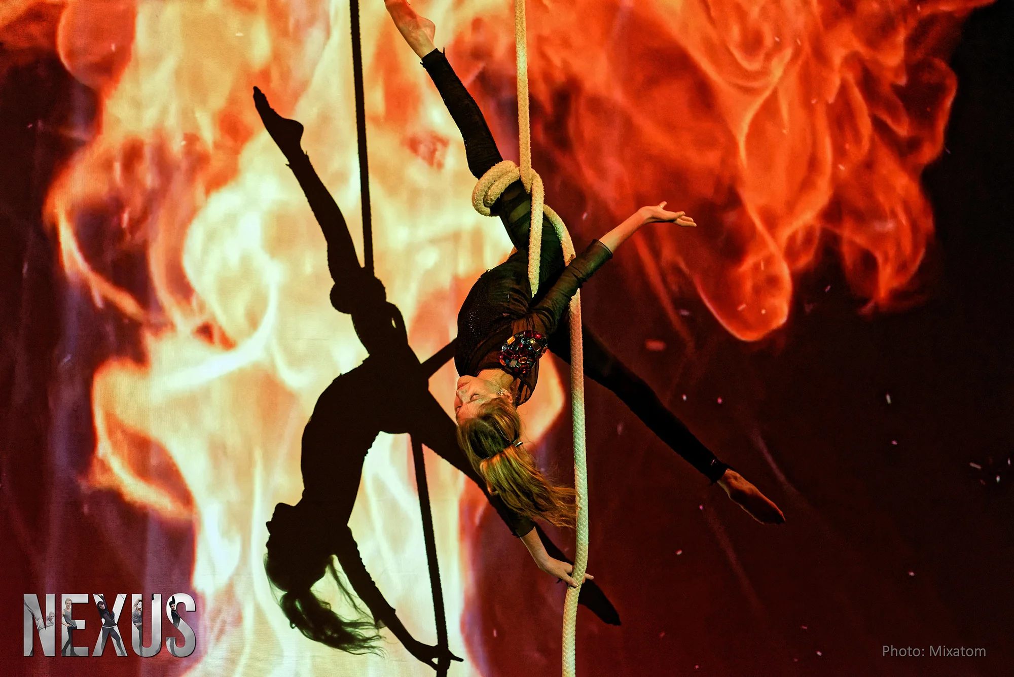 Photo 1 spectacle Nexus